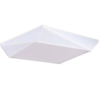 Потолочные светильники Arte Lamp A1929PL-1WH