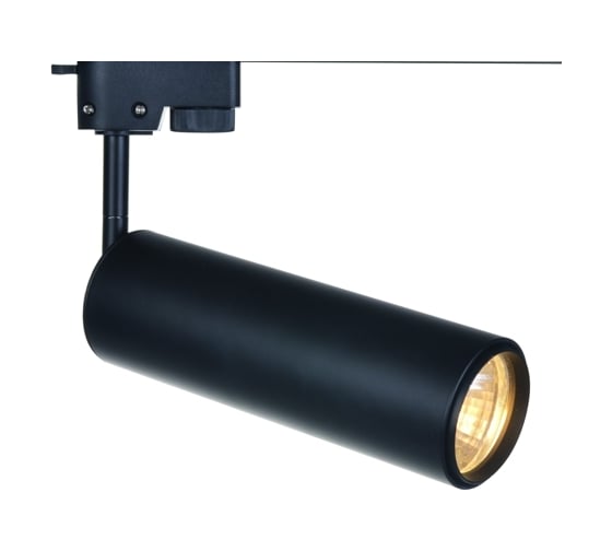Потолочные светильники Arte Lamp A1412PL-1BK