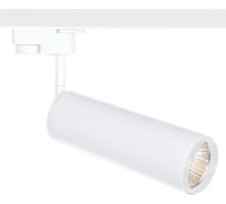 Потолочные светильники Arte Lamp A1412PL-1WH