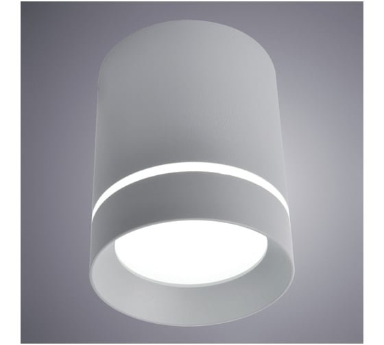 Потолочные светильники Arte Lamp A1909PL-1GY