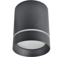 Потолочные светильники Arte Lamp A1909PL-1BK