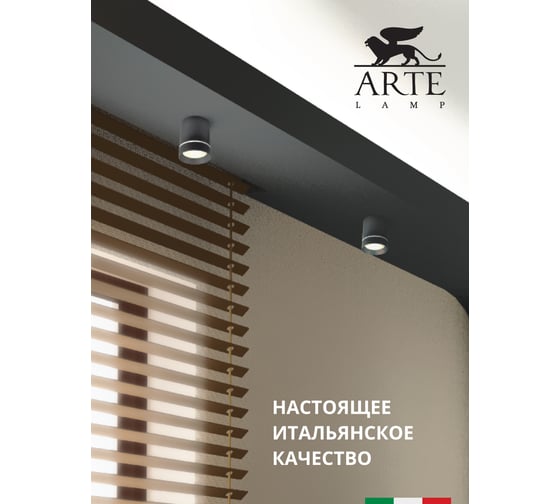 Потолочные светильники Arte Lamp A1909PL-1BK