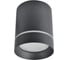 Потолочные светильники Arte Lamp A1909PL-1BK 1