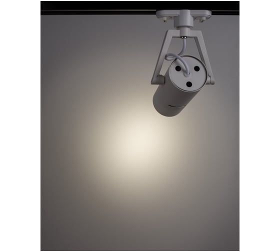 Потолочные поворотный светильник Arte Lamp A6210PL-1WH