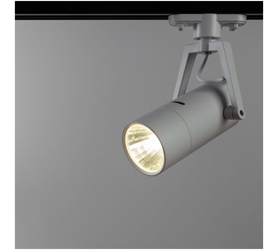 Потолочные поворотный светильник Arte Lamp A6210PL-1WH