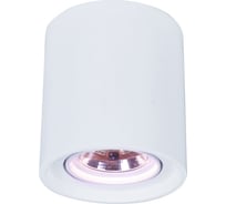 Потолочные поворотный светильник Arte Lamp A9262PL-1WH