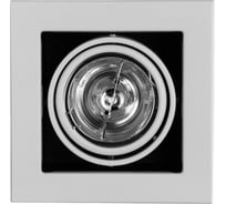 Потолочные поворотный светильник Arte Lamp A5930PL-1WH