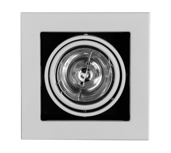 Потолочные поворотный светильник Arte Lamp A5930PL-1WH 1