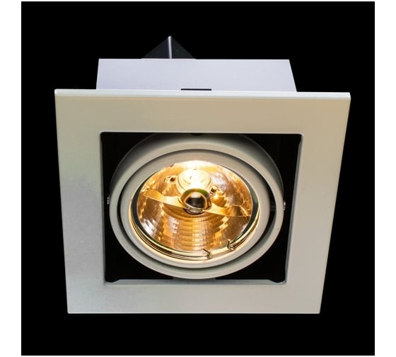 Потолочные поворотный светильник Arte Lamp A5930PL-1WH