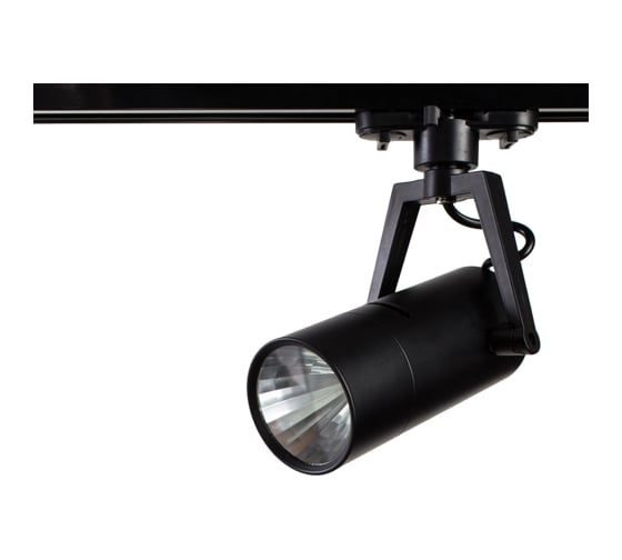 Потолочные поворотный светильник Arte Lamp A6210PL-1BK 1