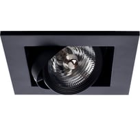 Потолочный поворотный светильник Arte Lamp A5930PL-1BK