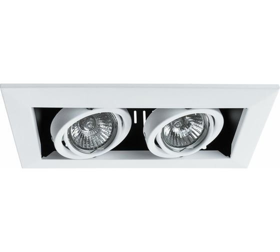 Потолочные поворотный светильник Arte Lamp A5941PL-2WH 1