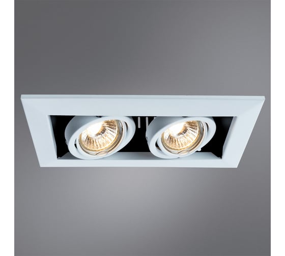 Потолочные поворотный светильник Arte Lamp A5941PL-2WH
