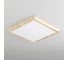 Светильник накладной Citilux Бейсик LED Клен CL738K242V 5