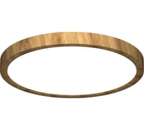 Светильник накладной Citilux Бейсик LED Клен CL738242V