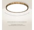 Светильник накладной Citilux Бейсик LED Клен CL738242V 14