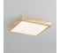 Светильник накладной Citilux Бейсик LED Клен CL738K182V 7