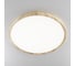 Светильник накладной Citilux Бейсик LED Клен CL738322V 7