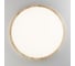 Светильник накладной Citilux Бейсик LED Клен CL738322V 8