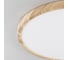 Светильник накладной Citilux Бейсик LED Клен CL738322V 9