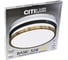 Светильник накладной Citilux Бейсик LED Клен CL738322V 11