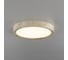 Светильник накладной Citilux Бейсик LED Клен CL738122N 3