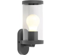 Настенный светильник ESCADA E27*40W IP44 Dark grey 30003W/01