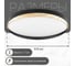 Светильник с пультом Citilux BONNY LED RGB Чёрный + Клён CL754451G 11