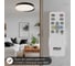 Светильник с пультом Citilux BONNY LED RGB Чёрный + Клён CL754451G 13