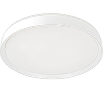 Светильник с пультом Citilux BOSS LED RGB Белый CL751450G