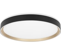 Светильник с пультом Citilux BOSS LED RGB Чёрный с Золотом CL751451G