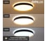 Светильник с пультом Citilux BOSS LED RGB Чёрный с Золотом CL751451G 12