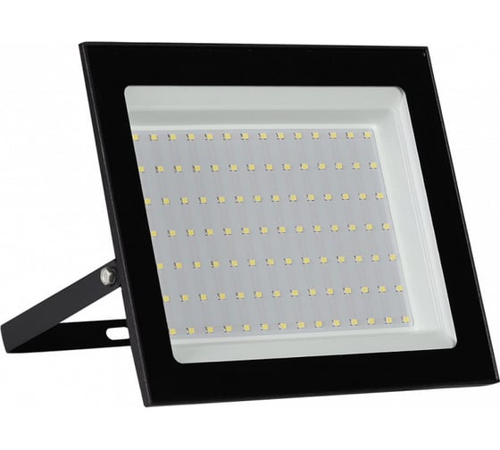 Светодиодный (LED) прожектор Smartbuy FL SMD LIGHT Pro 100W/6500K/IP65 SBL-EFLLIGHT-100-65