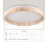 Светильник Citilux ENZO LED RGB с пультом Клен CL753452G 13