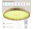Светильник Citilux ENZO LED RGB с пультом Клен CL753452G 21