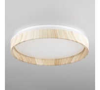 Светильник Citilux ENZO LED RGB с пультом Клен CL753352G