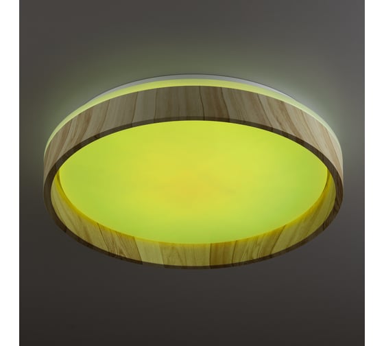 Светильник Citilux ENZO LED RGB с пультом Клен CL753352G