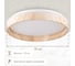 Светильник Citilux ENZO LED RGB с пультом Клен CL753352G 15