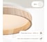 Светильник Citilux ENZO LED RGB с пультом Клен CL753352G 17