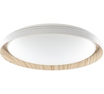 Светильник Citilux MEGA LED RGB с пультом Белый + Клен CL752352G