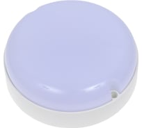 Светодиодный светильник ARTSUN ЖКХ, датчик движения SSB-2 15W 5000К