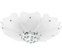 Люстра потолочная Lightstar Lobo 804020