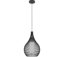 Подвесной светильник EGLO RAZONI 1 900828