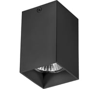 Светильник точечный накладной декоративный Lightstar под заменяемые галогенные или LED лампы Rullo 216337