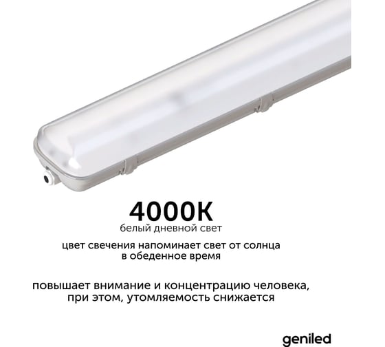 Светильник светодиодный пылевлагозащитный geniled ЛСП ДСП 30 Вт 4000К 23931_4000