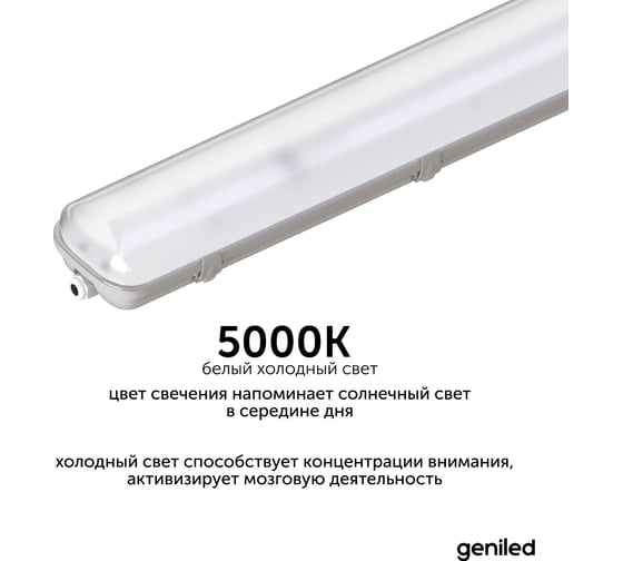 Светильник светодиодный пылевлагозащитный geniled ЛСП ДСП 30 Вт 5000К 23931