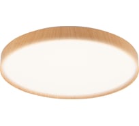 Светодиодный светильник Jazzway декоративный PPB PINE 72Вт DIM 3000-6500К IP20 D485х75 настенно-потолочный бытовой с пультом 5052666