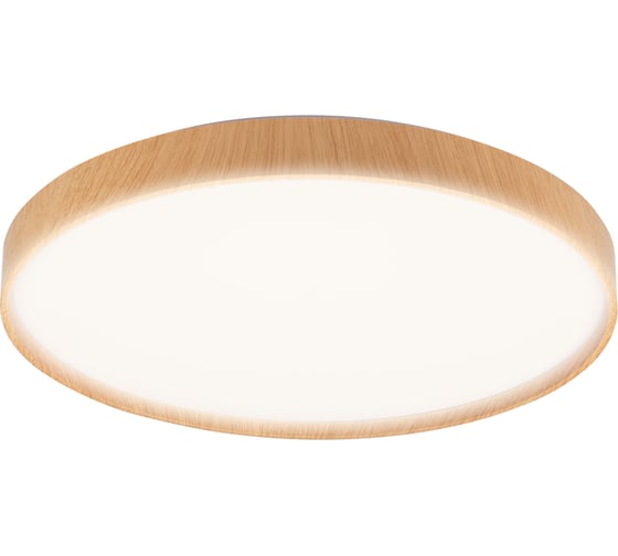 Светодиодный светильник Jazzway декоративный PPB PINE 72Вт DIM 3000-6500К IP20 D485х75 настенно-потолочный бытовой с пультом 5052666