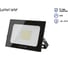 Светодиодный прожектор Lumin'arte LED 20Вт 5700K Холодный белый свет 800 Лм черный IP65 LFL-20W/05 4