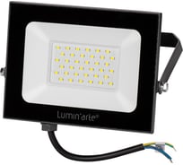 Светодиодный прожектор Lumin'arte LED 50Вт 5700K холодный белый свет 3750лм черный IP65 LFL-50W/05